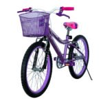Bicicleta Sweet Girl 20 - Imagen 3