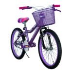 Bicicleta Sweet Girl 20