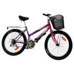 Bicicleta Montañesa de Dama de 24