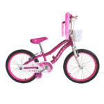 Bicicleta Rali Bella de 20 - Imagen 7