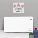 Congelador Horizontal de 18 pies GF-450SS - Imagen 6