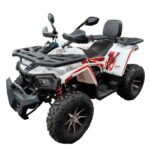 Cuatrimoto ATV FOX 200 - Imagen 2