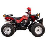 Cuatrimoto ATV Future 200