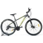 Bicicleta Droute Neptune de 29