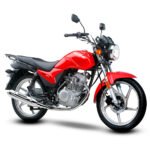 Motocicleta Haojue DM 125
