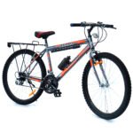 Bicicleta Desierto 24