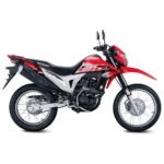 Motocicleta XR190L