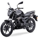 Motocicleta Raider 125 - Imagen 2