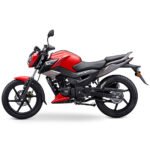 Motocicleta Raider 125 - Imagen 10