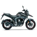 Motocicleta Haojue DL160 - Imagen 2
