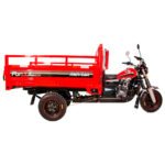 Motocicleta de carga FORZZA 250R