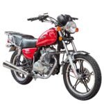 Motocicleta FIRE 210