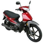 Motocicleta TRIP 110 - Imagen 2