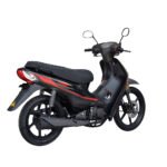 Motocicleta TRIP 110 - Imagen 6