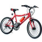 Bicicleta Formula 20