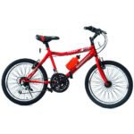 Bicicleta Formula 20 - Imagen 2